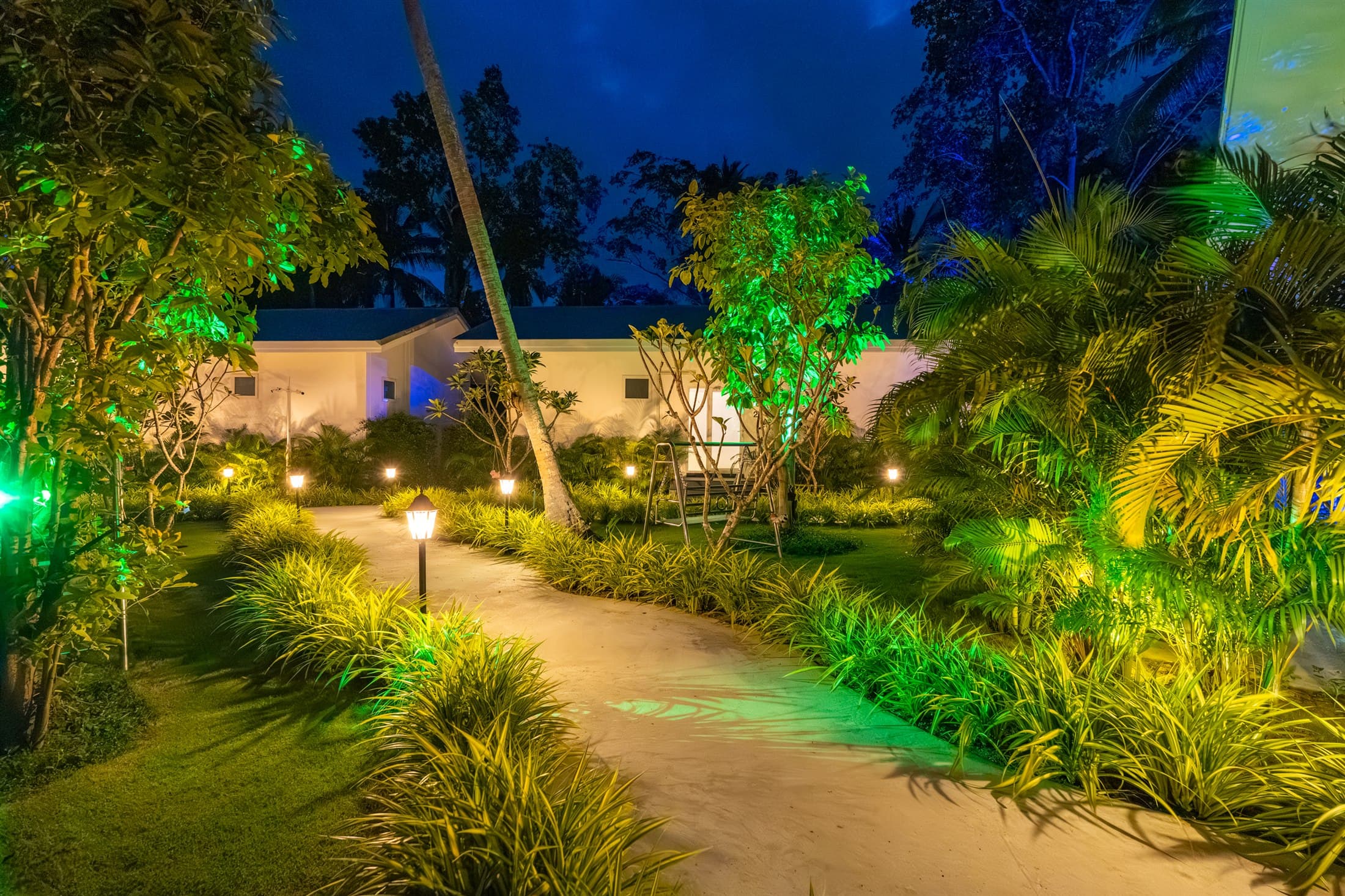 Tropischer Gartenweg bei Nacht